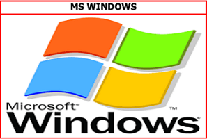 MS Windows