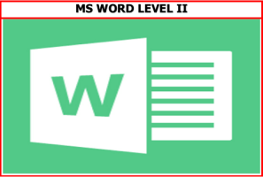 MS Word II