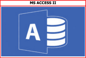 MS Access II