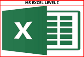 MS Excel I