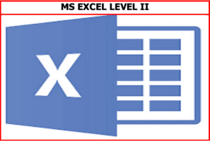 MS Excel II