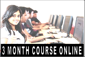 3 Month Course ONLINE