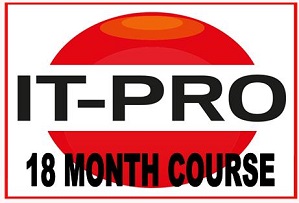 18 MONTH IT PROFESSIONAL