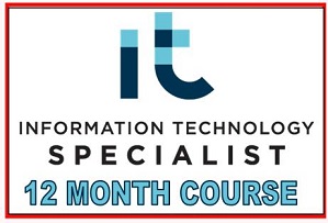 1 Year IT Specialist